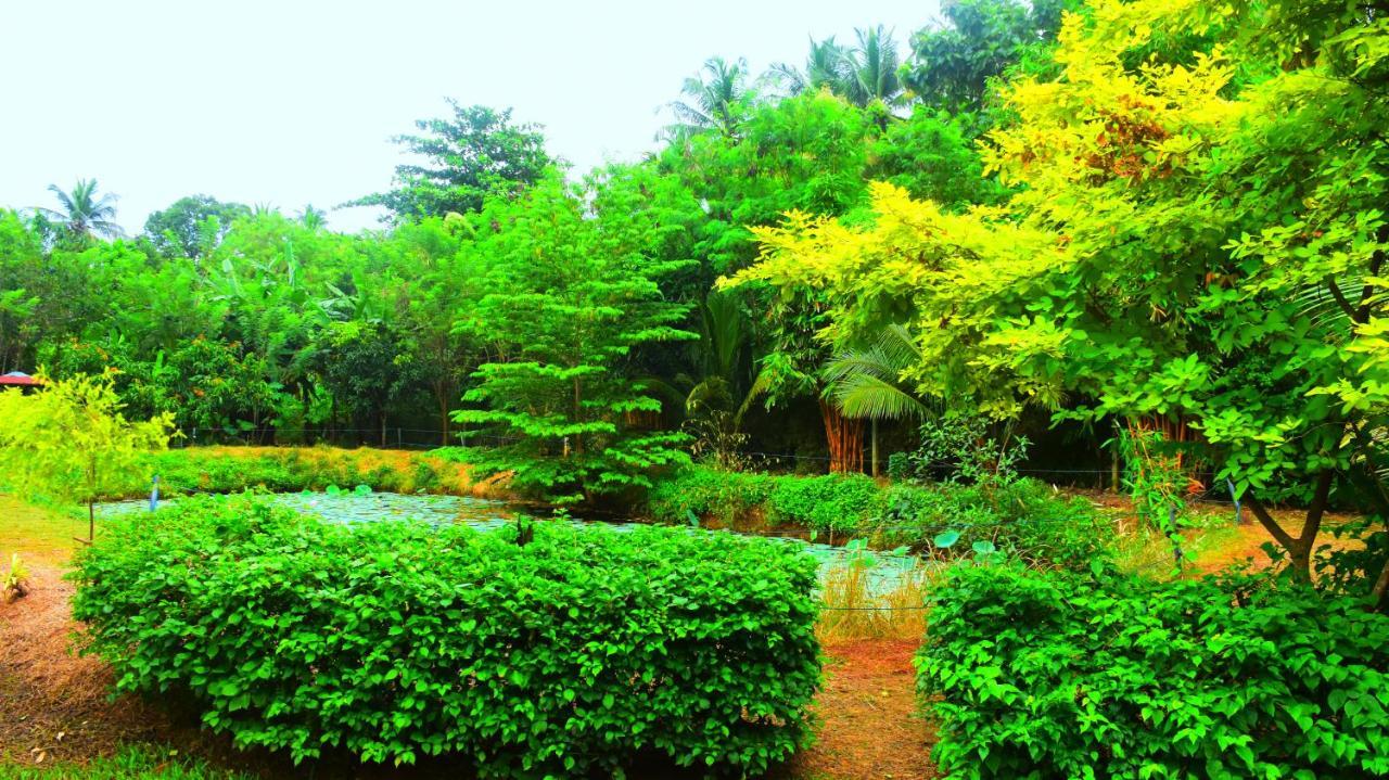 Green View Safari Paradise Hotel อุดาวาลาเว ภายนอก รูปภาพ